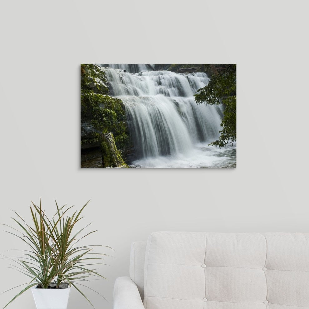 "Liffey Falls" Wrapped Canvas Art Print, 24"x16"x1.5"