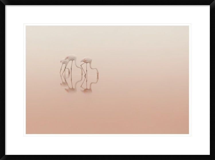 "Pink Silence" Framed Digital Print by Natalia Rublina, 32x24"