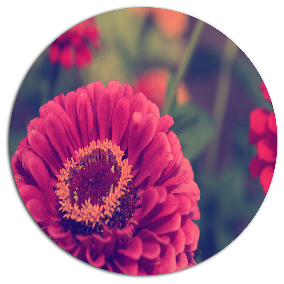 Vintage Photo Of Cute Red Flowers, Flower Round Wall Art, 38"