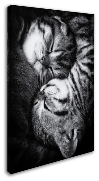 Andrea Jancova 'Yin And Yang' Canvas Art, 47 x 30