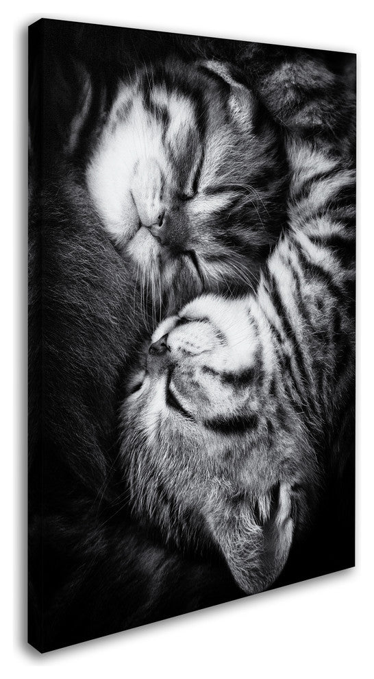 Andrea Jancova 'Yin And Yang' Canvas Art, 47 x 30