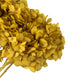 Natural Botanicals 15? Hydrangea With Multiple Branch Segments, Yellow, 15-18?