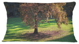 Lonely Beautiful Autumn Tree Landscape Printed Throw Pillow, 12"x20"
