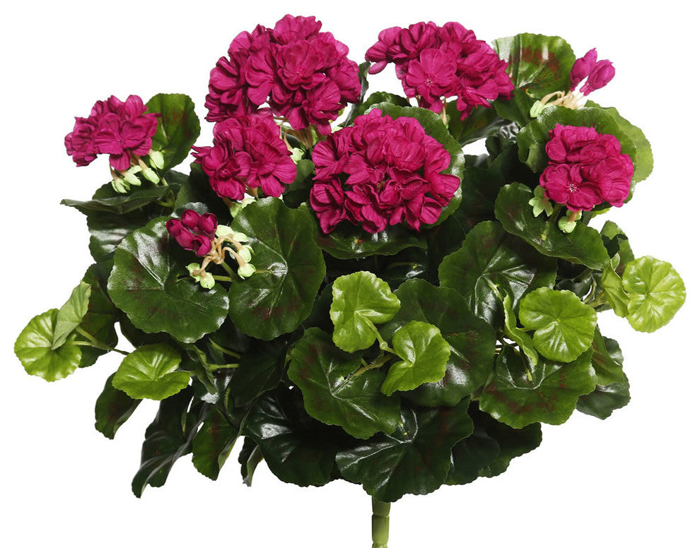 17.5" Purple Geranium Bush