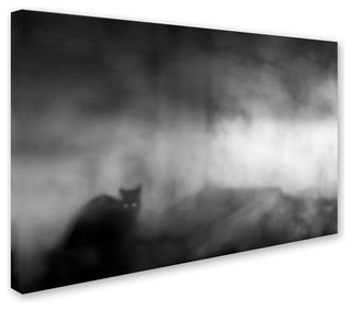 Tudor Amot 'Black Cat' Canvas Art, 30x47