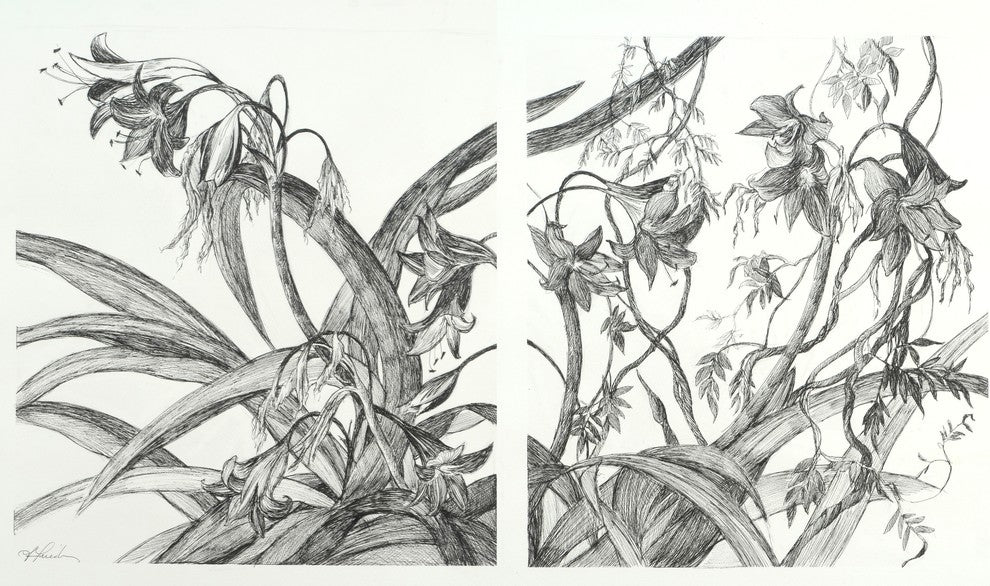 Dahlia Diptych