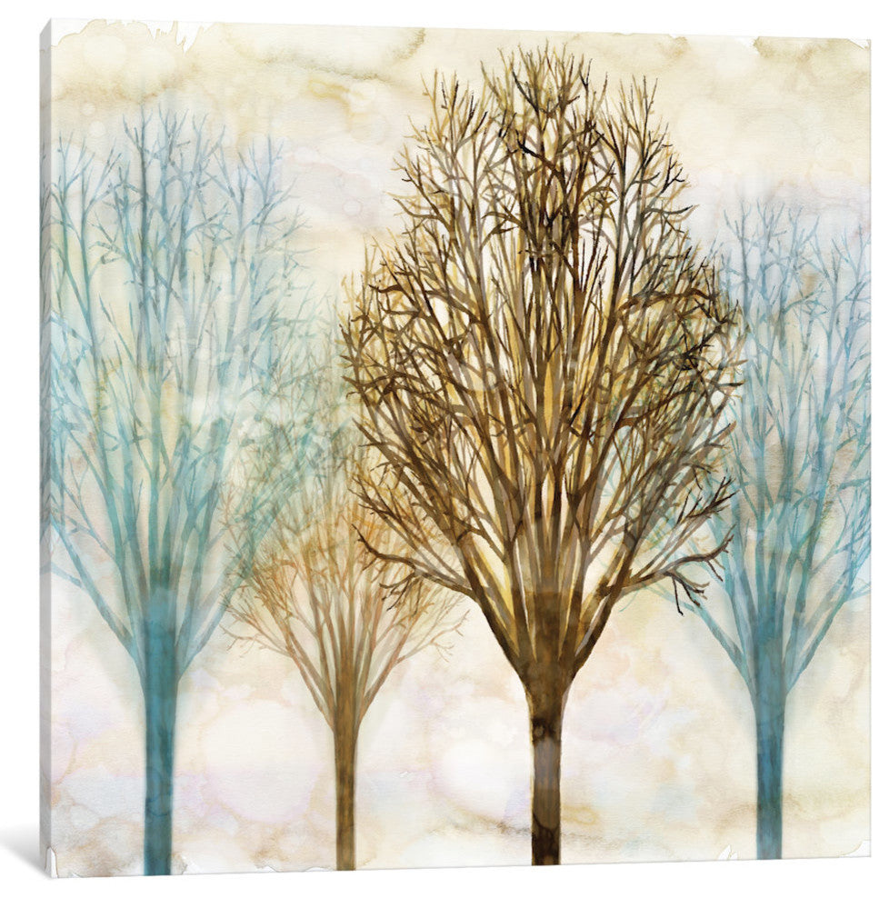 "Among The Trees II" by Chris Donovan, Canvas Print, 12"x12"
