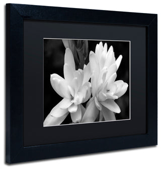 Kurt Shaffer 'Tuber Rose in Black and White' Matted Framed Art