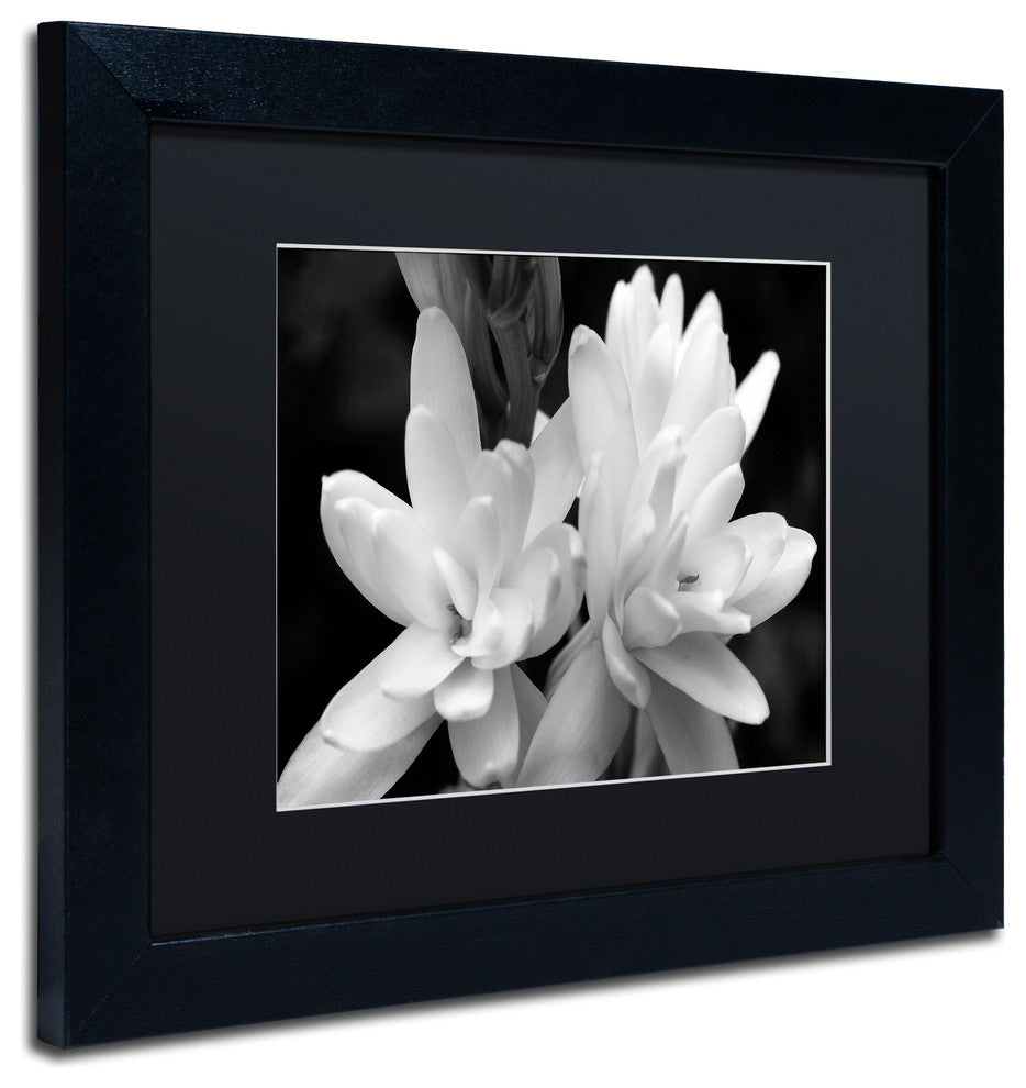 Kurt Shaffer 'Tuber Rose in Black and White' Matted Framed Art