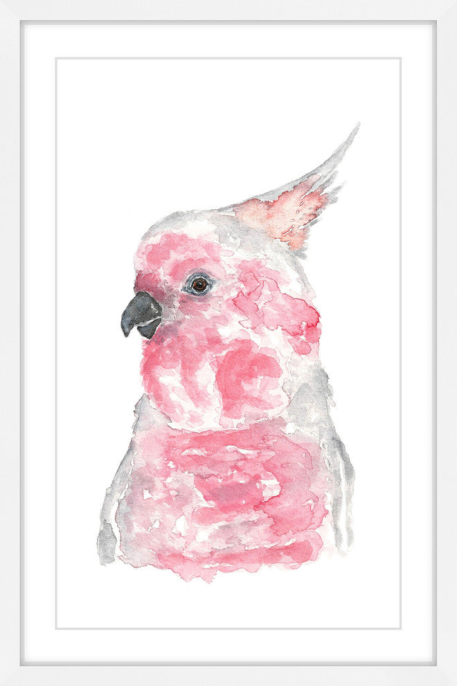 Marmont Hill, "Major Mitchell's Cockatoo" by Thimble Sparrow Framed Print, 30x45