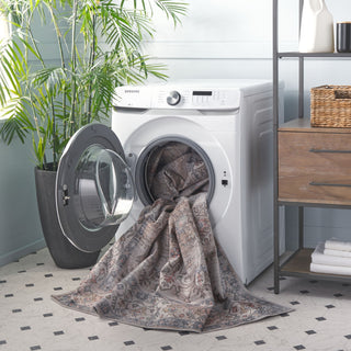 Safavieh Arizona Machine-Washable Collection ARZ243 Rug, Sage/Rust, 6'x9'