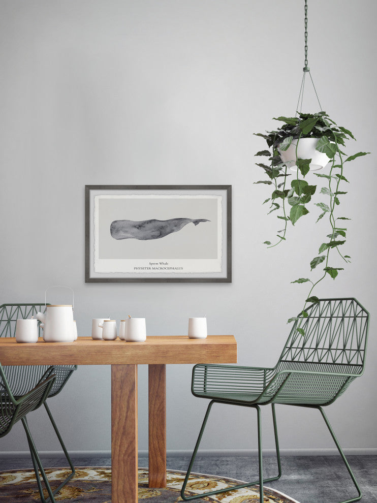 "Physeter Macrocephalus" Framed Painting Print, 12x8