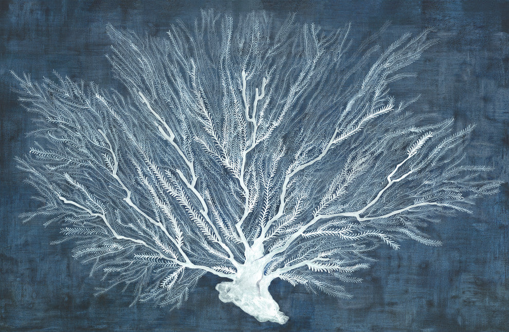 "Density of Coral" Framed Gallery Wrapped Giclee Print On Canvas, Gel Texture