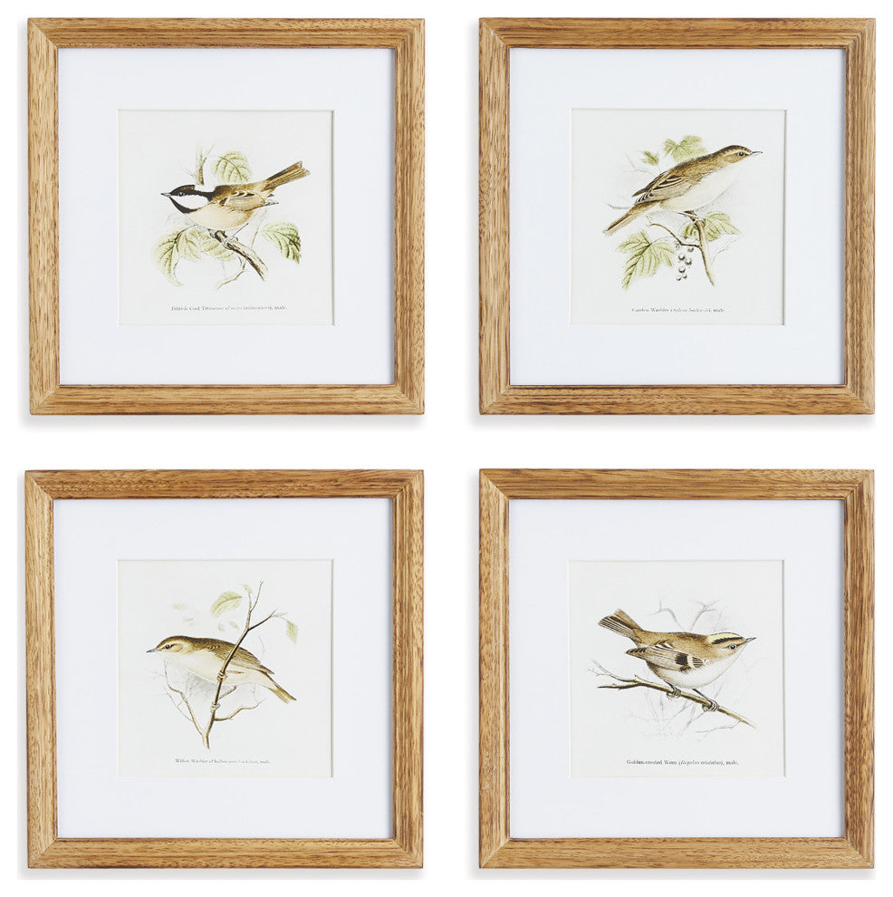 Perching Bird Study Petite