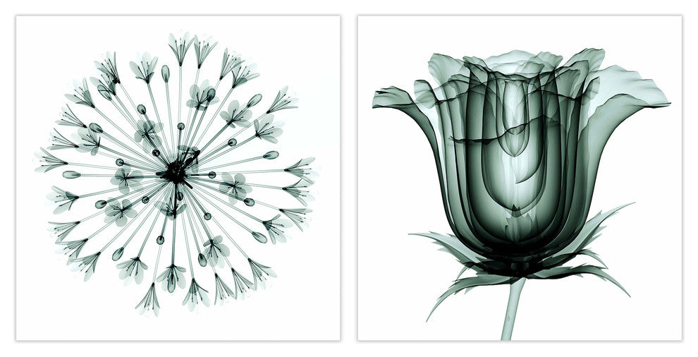 African Bluebell and Rose Veil, Flower Wall Art Tempered Glass Panel Artwork