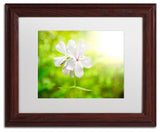 PIPA Fine Art 'Beauty of the Forest Floor' Matted Framed Art, 14x11