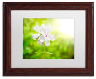 PIPA Fine Art 'Beauty of the Forest Floor' Matted Framed Art, 14x11