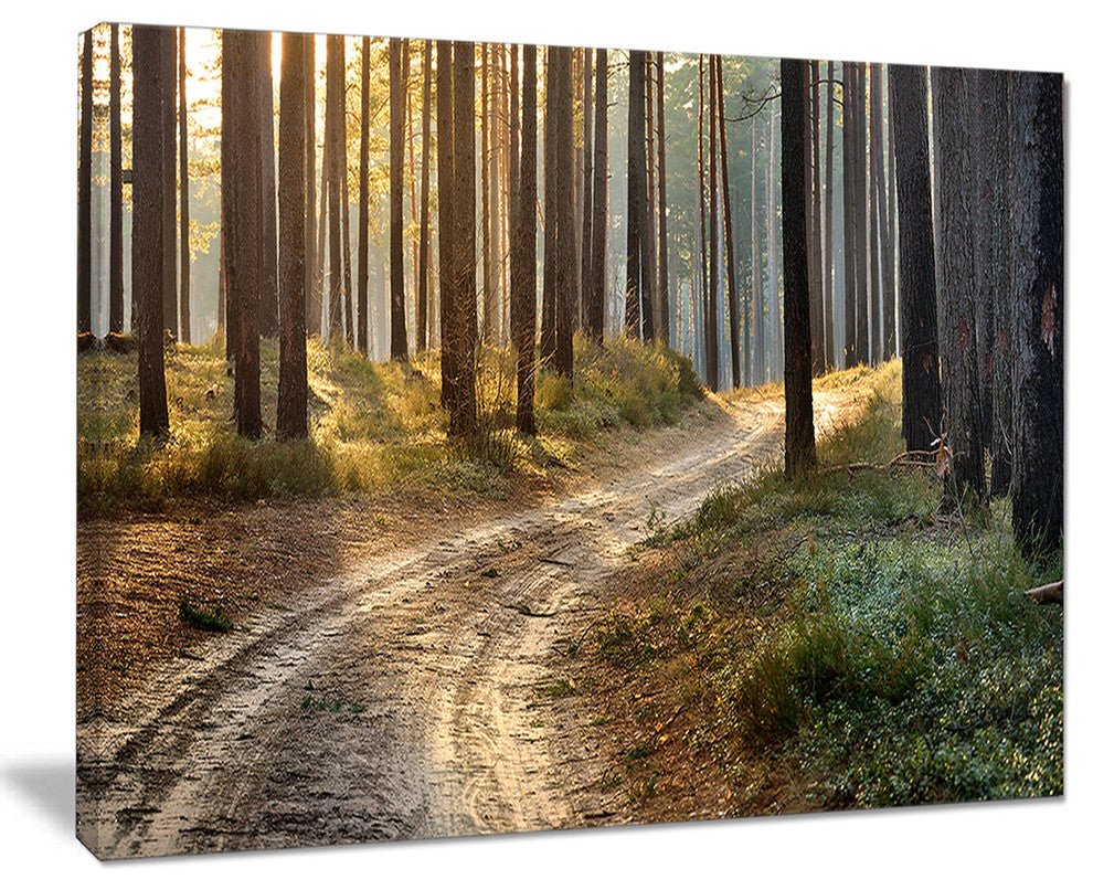 "Road in Thick Morning Forest" Landscape Canvas Photo Print, 20"x12"