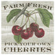 "Farm Fresh Cherries Square" Digital Paper Print by Sue Schlabach, 32"x32"