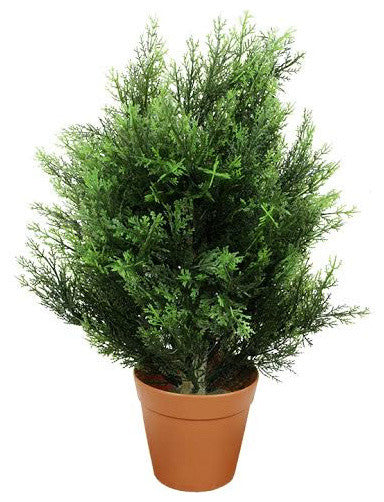 Potted Two-Tone Artificial Cypress Plant, 21"