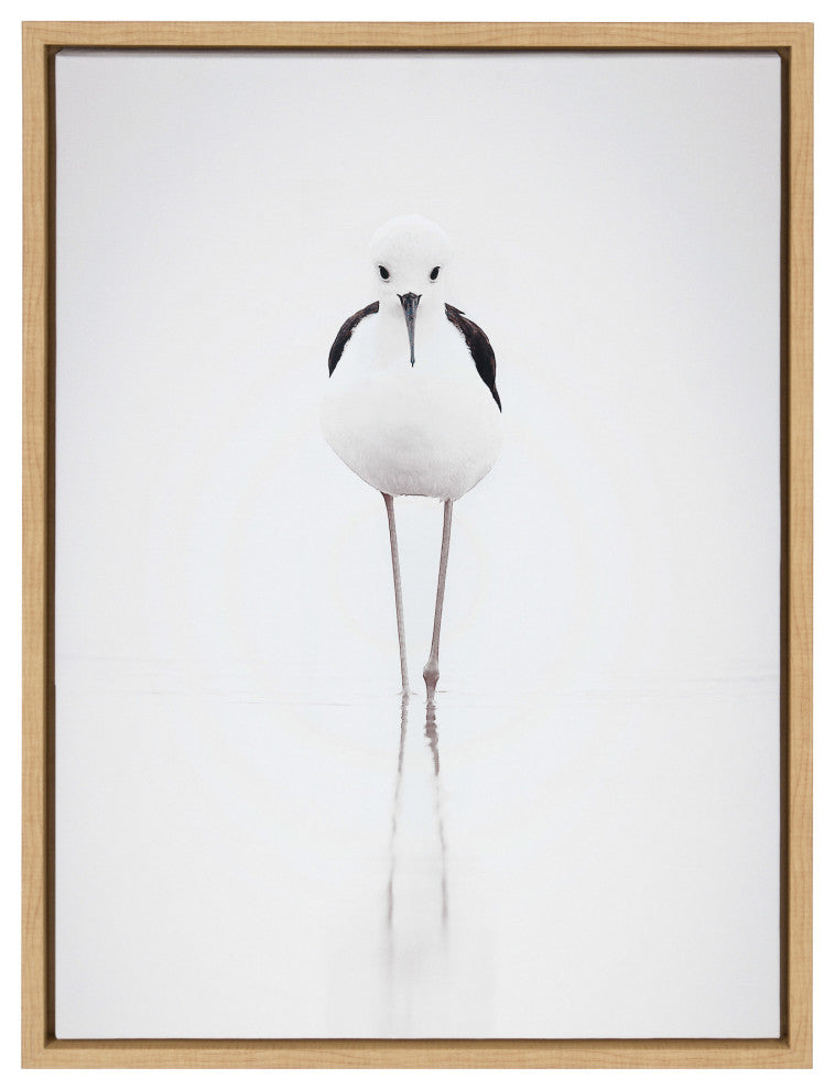 Sylvie Seagull Framed Canvas by Tai Prints, Natural 18x24
