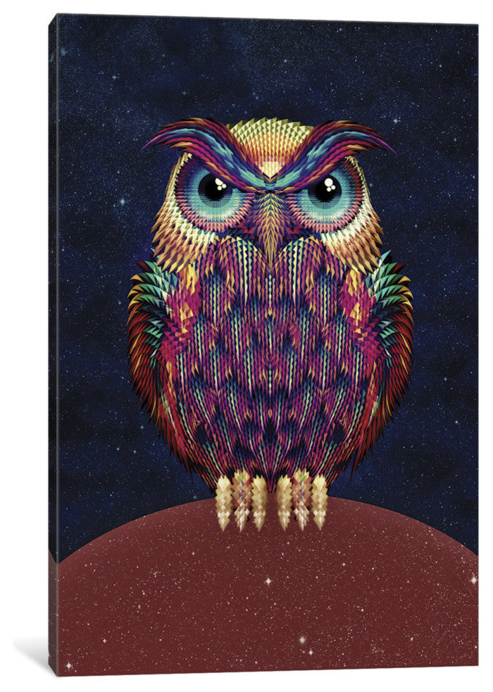 "Owl #2" by Ali Gulec, Canvas Print, 18"x12"