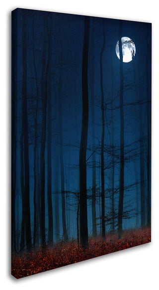 'Blue Note' Canvas Art by Philippe Sainte-Laudy