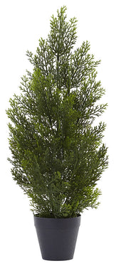 2' Mini Cedar Pine Tree, Indoor/Outdoor