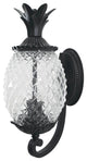 Pineapple Outdoor Wall Mount Light, Matte Black