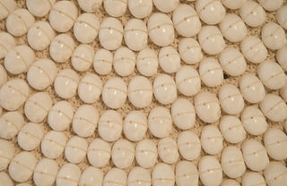 Giant Shell Necklace