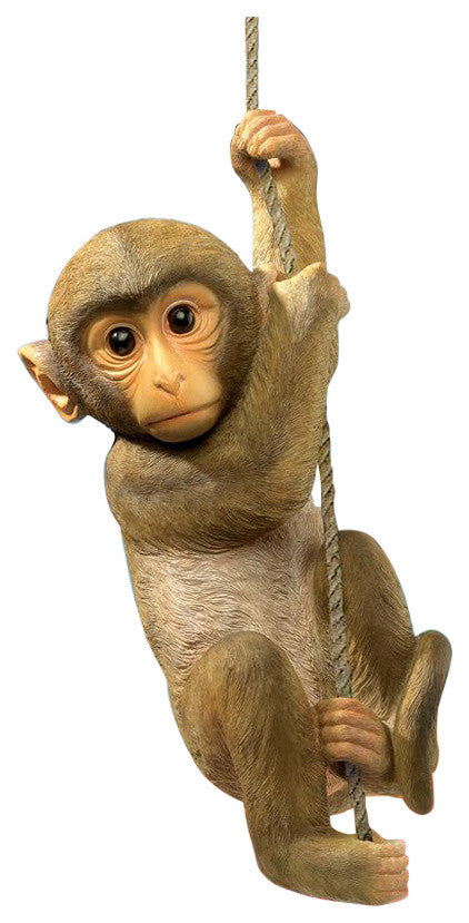 Chico the Chimpanzee Hanging Monkey