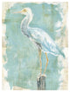 "Coastal Egret II v2" Digital Paper Print by Sue Schlabach, 32"x42"