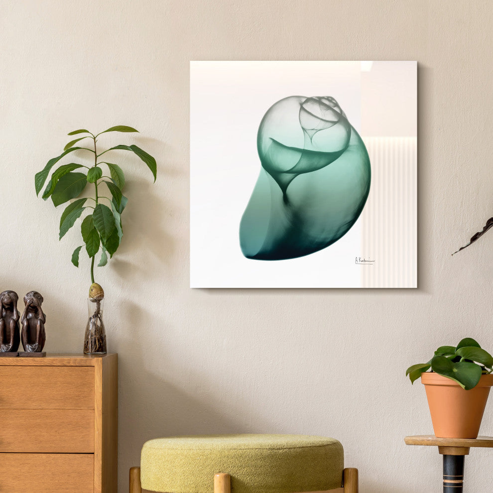 "Shimmering Snail I" Wall Art on Frameless Free Floating Tempered Glass Panel