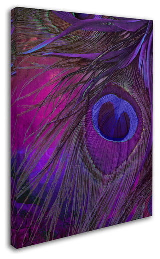 Color Bakery 'Peacock Candy IV' Canvas Art, 24"x32"