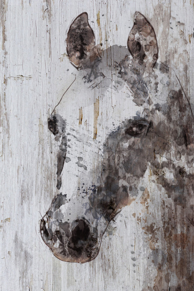 "Jack Horse" by Irena Orlov Painting Print Wrapped Canvas, 24x36