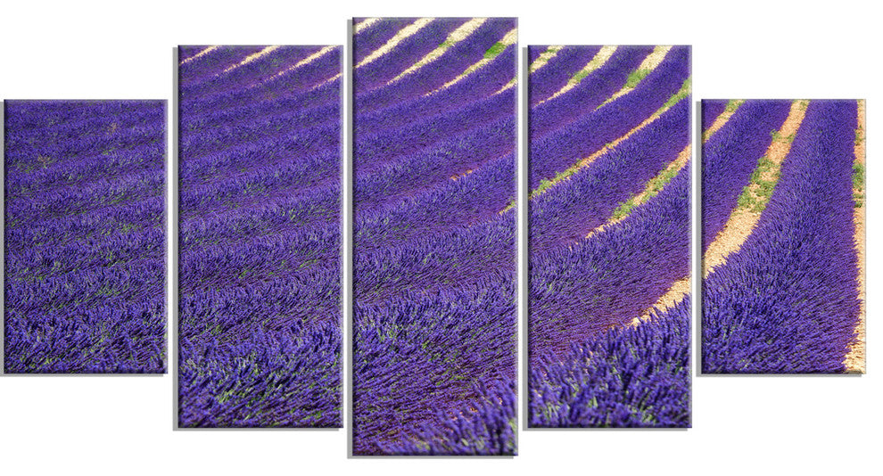 "Lavender Blooming Fields As Texture" Landscape Wall Art, 5 Panels, 60"x32"