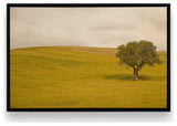 "Tuscan Fields' Charm" - A Touch of Italian Rusticity for Elegant Interiors