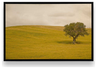 "Tuscan Fields' Charm" - A Touch of Italian Rusticity for Elegant Interiors