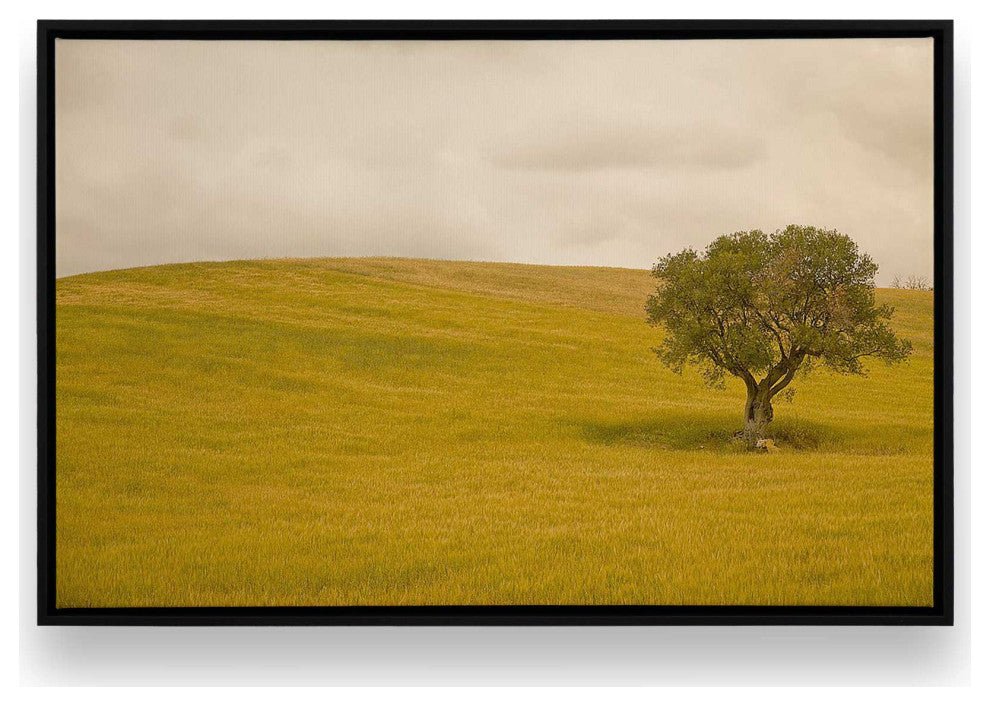 "Tuscan Fields' Charm" - A Touch of Italian Rusticity for Elegant Interiors