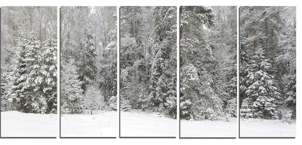 Foggy Winter Forest Panorama, Landscape Canvas Art Print, 60"x28", 5 Panels