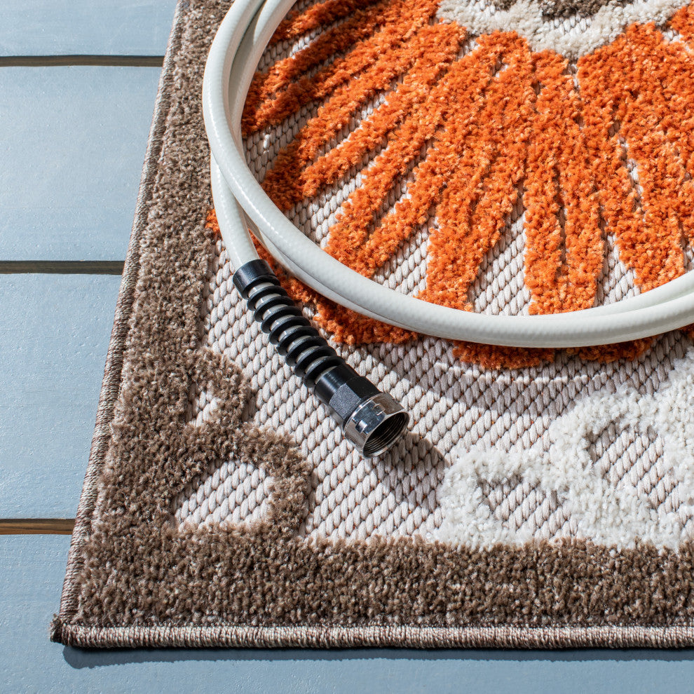 Safavieh Cabana Collection CBN676 Indoor-Outdoor Rug