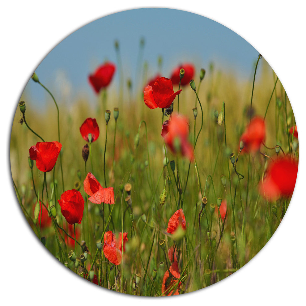 Wild Poppy Flowers In Green Garden, Floral Wall Disc Metal Artwork, 23"