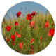 Wild Poppy Flowers In Green Garden, Floral Wall Disc Metal Artwork, 23"
