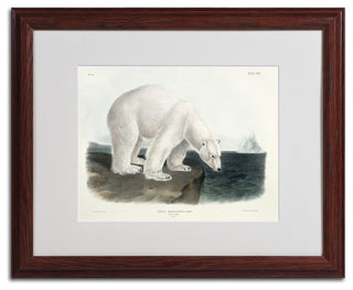 'Ursus Maritimus Polar Bear' Matted Framed Canvas Art by John James Audubon