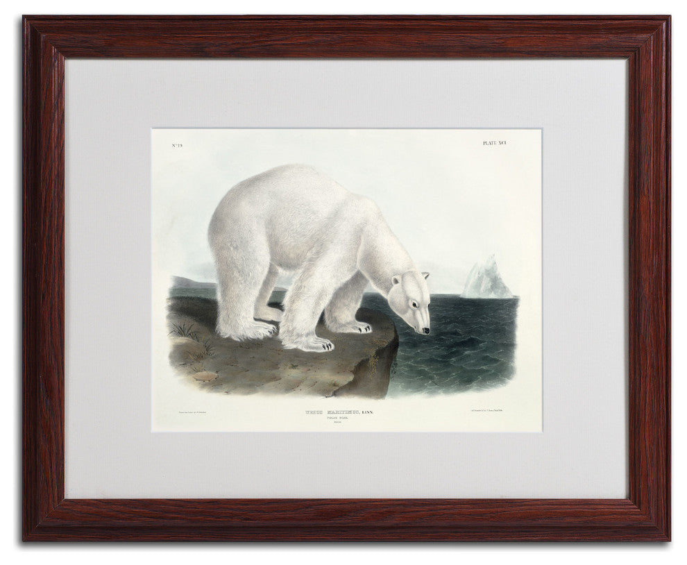 'Ursus Maritimus Polar Bear' Matted Framed Canvas Art by John James Audubon