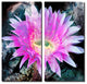Painted Petals XLI Canvas Art, 2-Piece Set, 40"x20"
