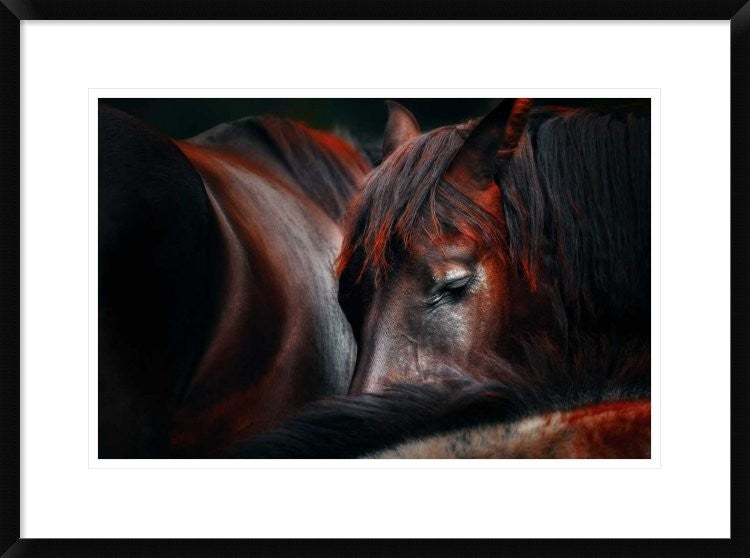 "Sleep Huddle" Framed Digital Print by Martin Stantchev, 30x22"