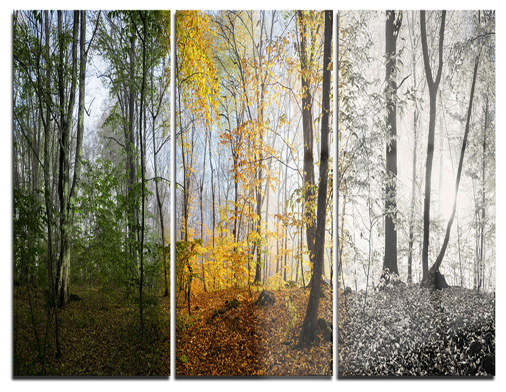 "Forest in Early Morning" Photo Metal Wall Art, 3 Panels, 36"x28"