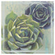 "Succulents I" Digital Paper Print by Wellington Studio, 20"x20"