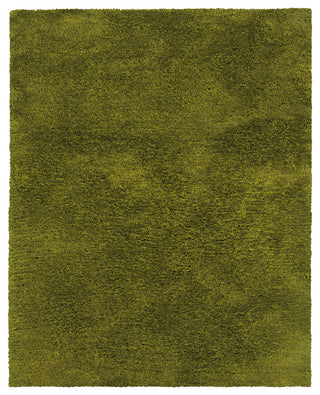 Oriental Weavers Cosmo Collection Green Solid Indoor Area Rug 3'3"X5'3"
